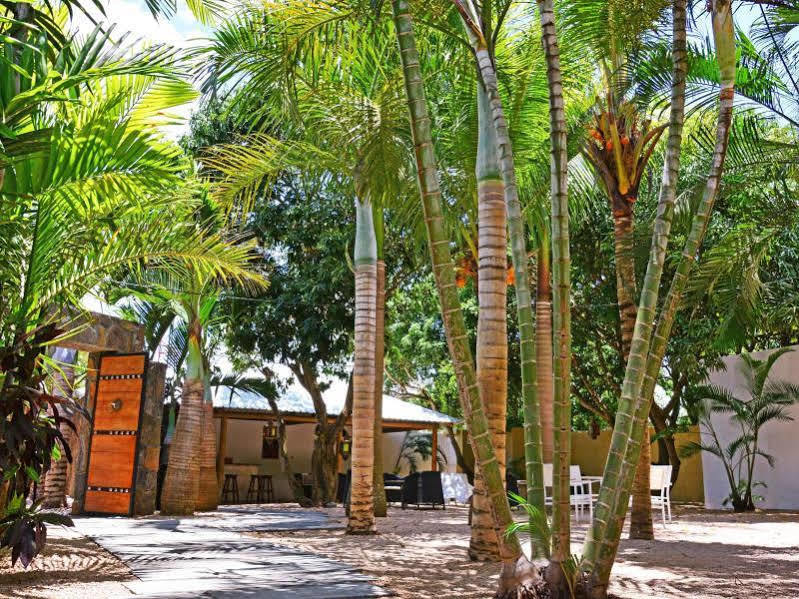 La Margarita Hotel Поант о Пиман Екстериор снимка